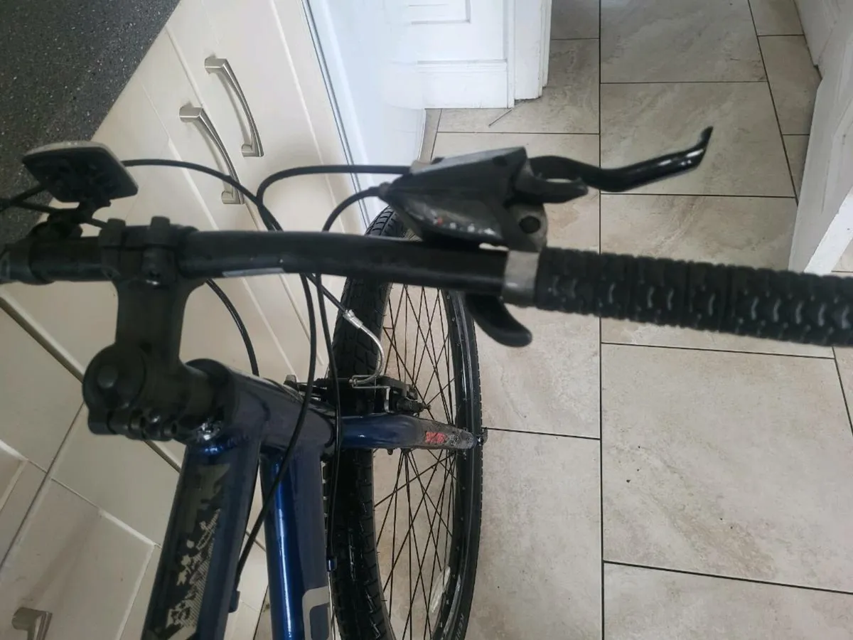 Bike carrera - Image 4