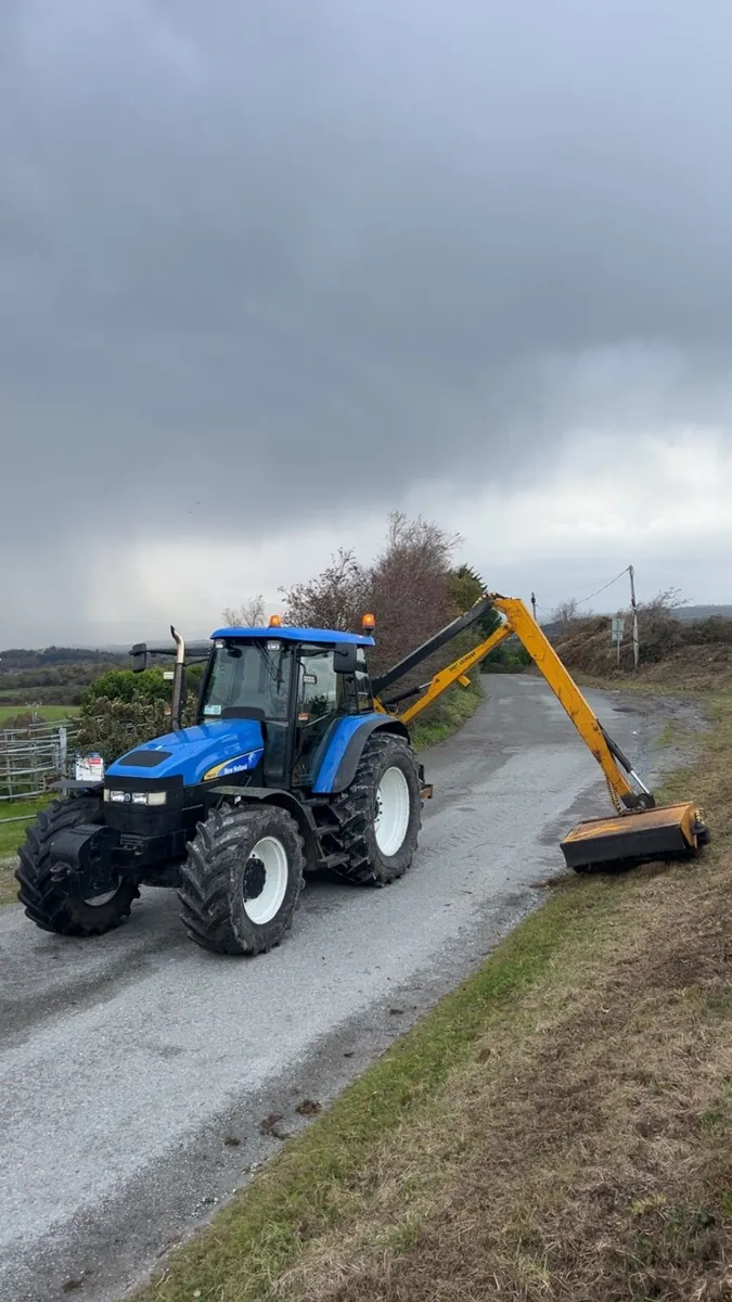 Hedge cutting service - Image 3
