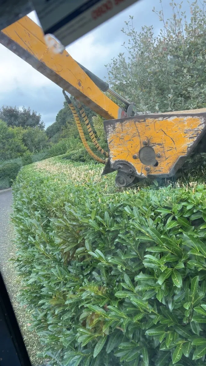 Hedge cutting service - Image 4