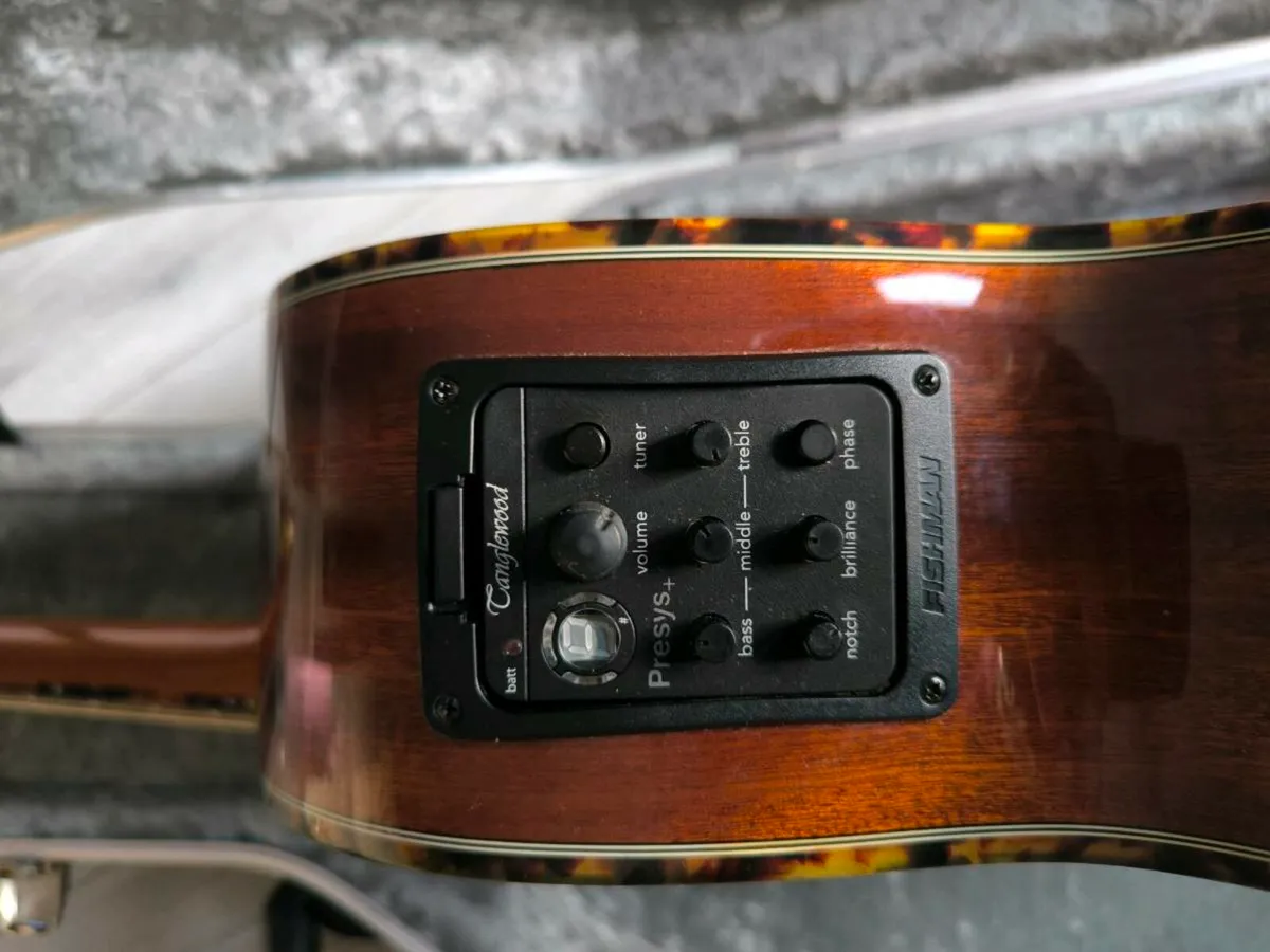 Tanglewood lefty - Image 2