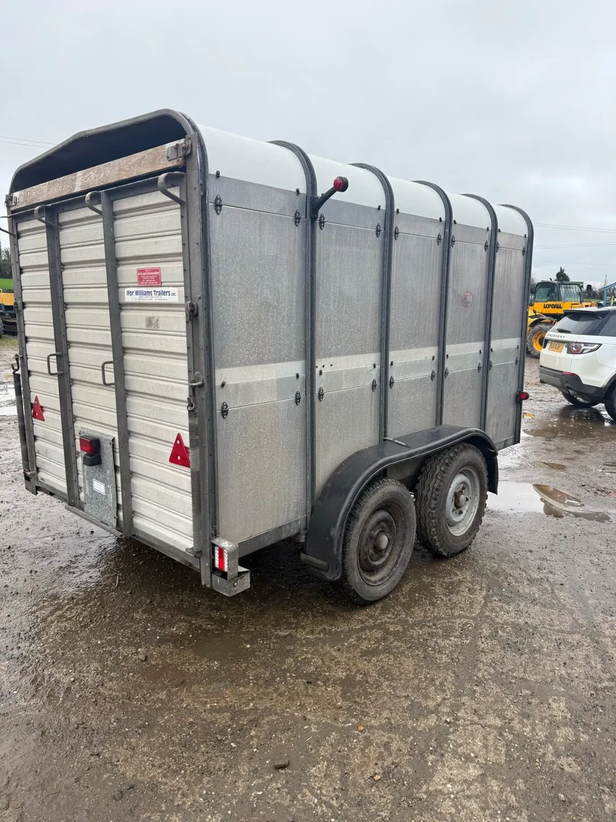 Ivor Williams - Image 2