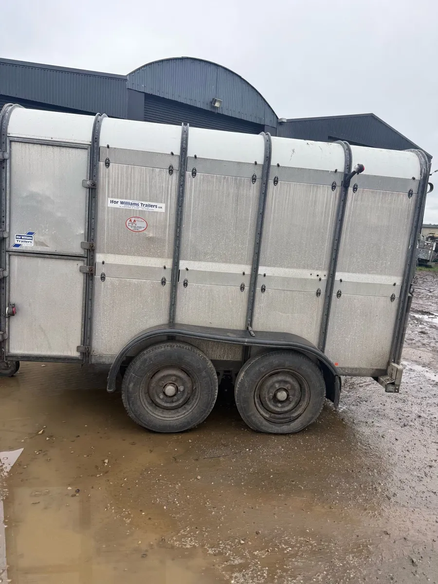 Ivor Williams - Image 3