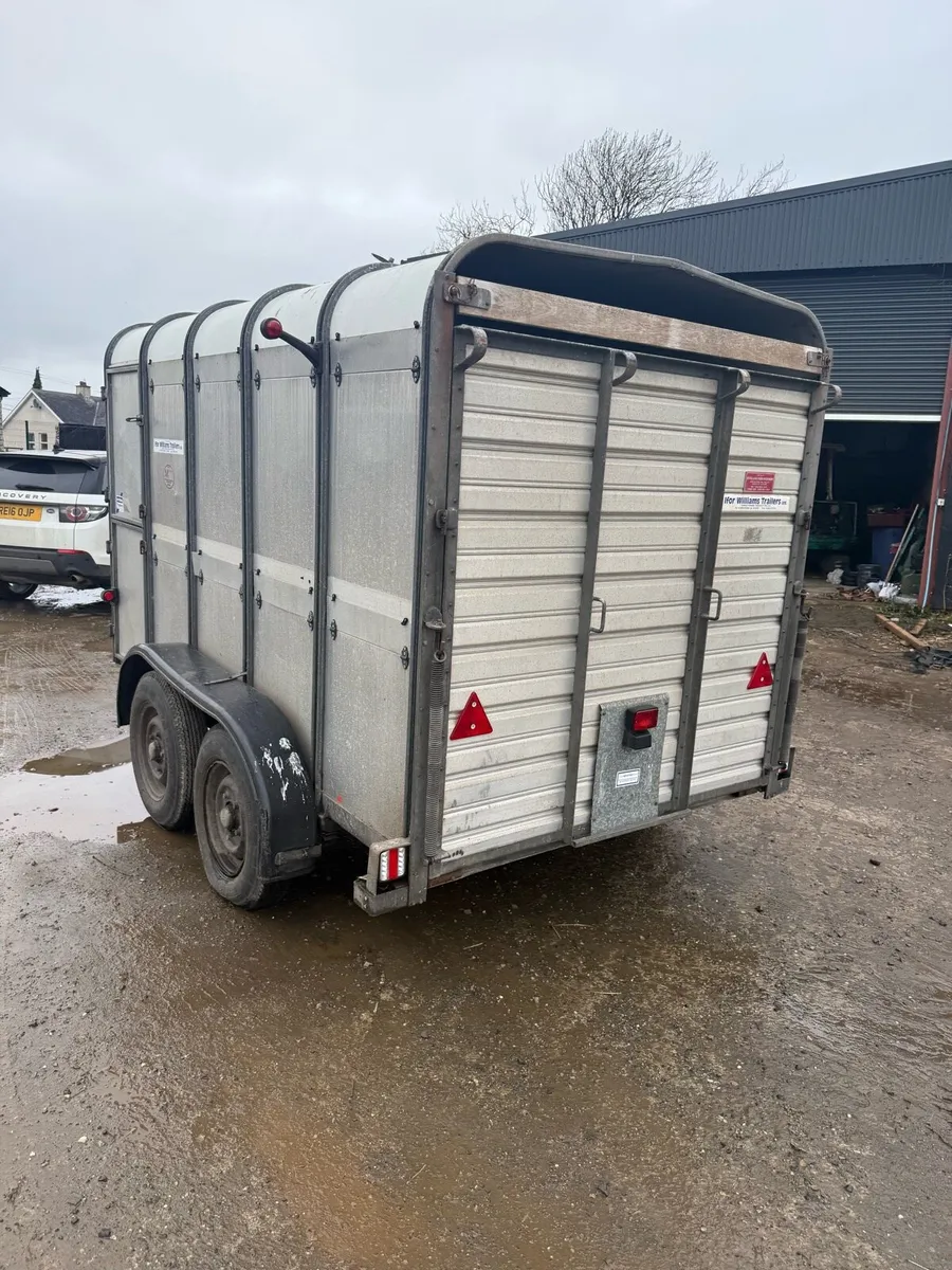 Ivor Williams - Image 4