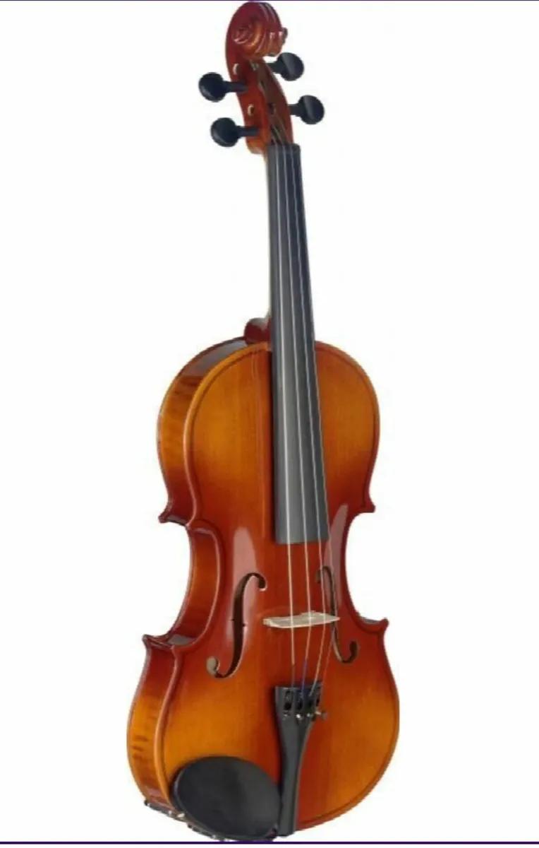 violin