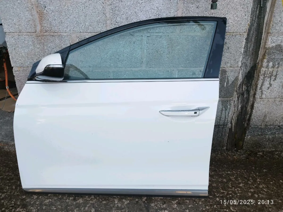 2019 Hyundai ioniq Doors and back for sale - Image 2