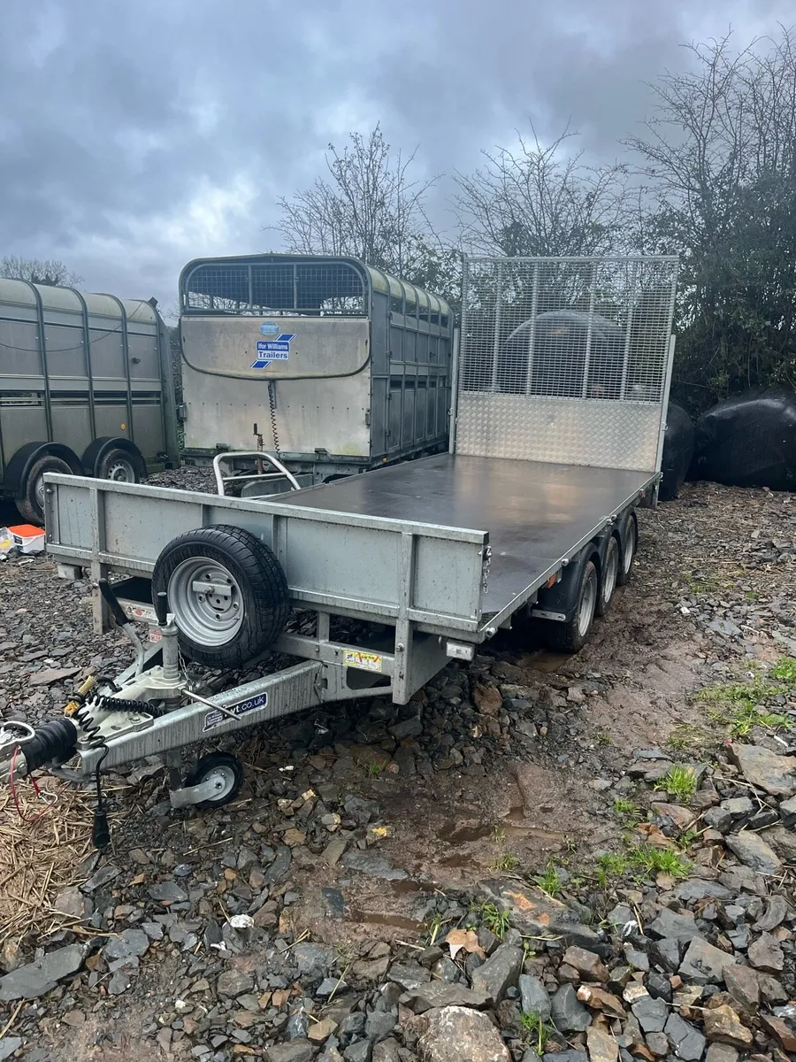 New - unused 16x6.6 Ifor Williams - Image 1