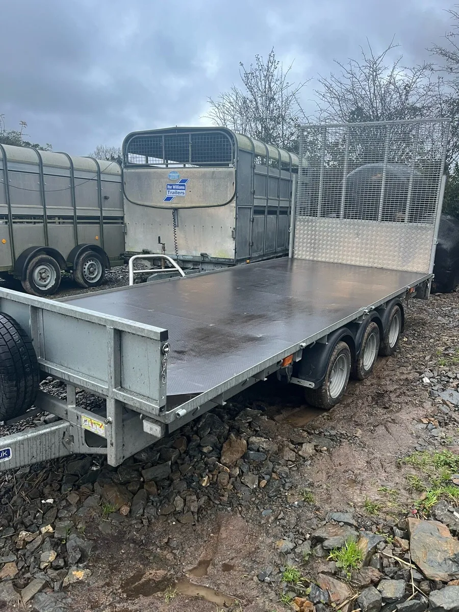New - unused 16x6.6 Ifor Williams - Image 2