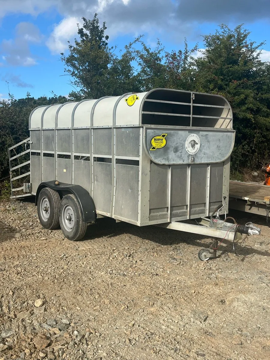 12x5.10 MURPHY TRAILER - Image 1