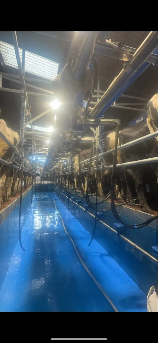 Position for Student & Dairy farm apprentice - Image 1