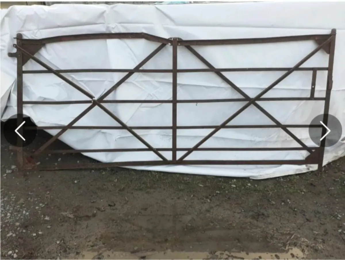 Blacksmith Gates - Image 1