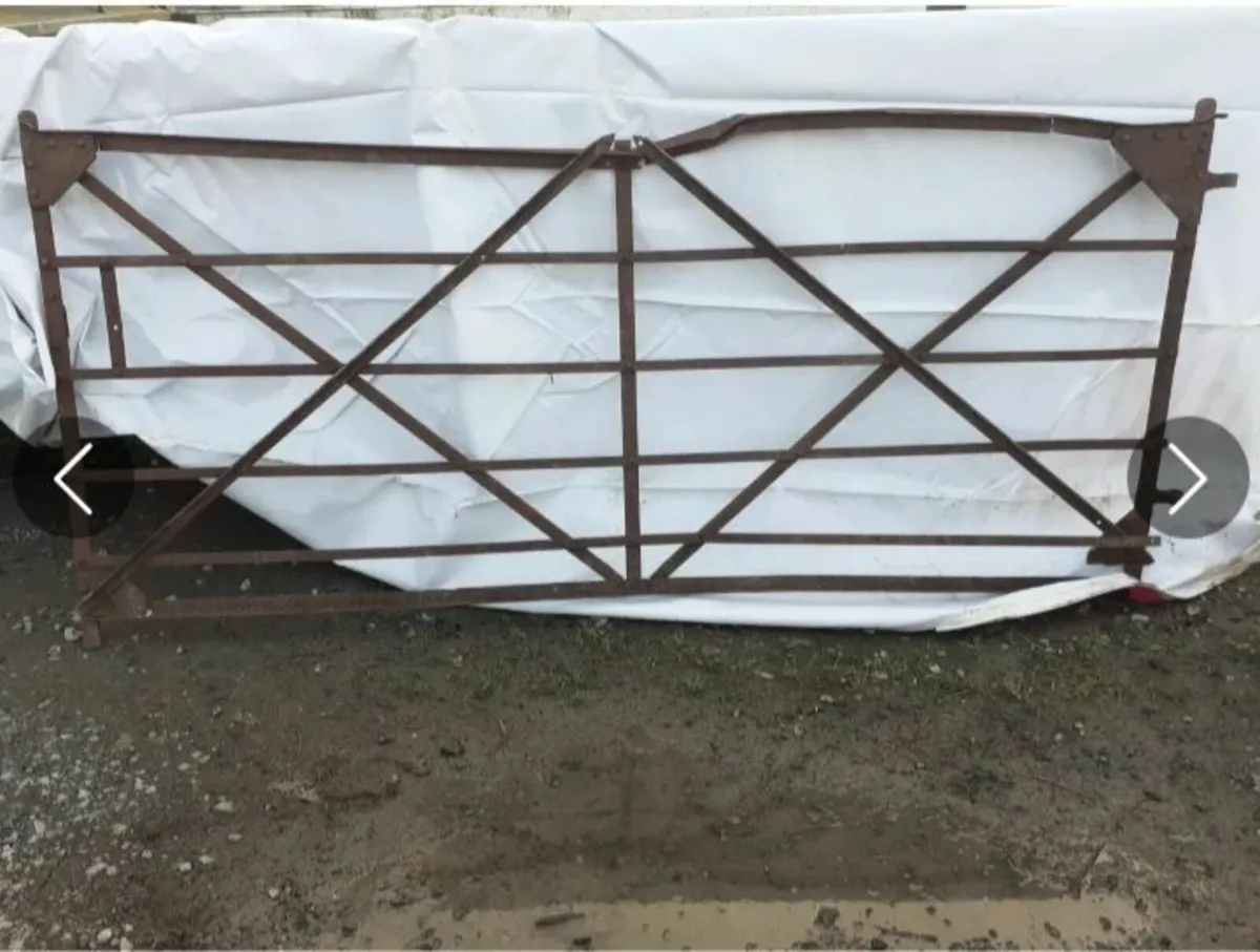 Blacksmith Gates - Image 2