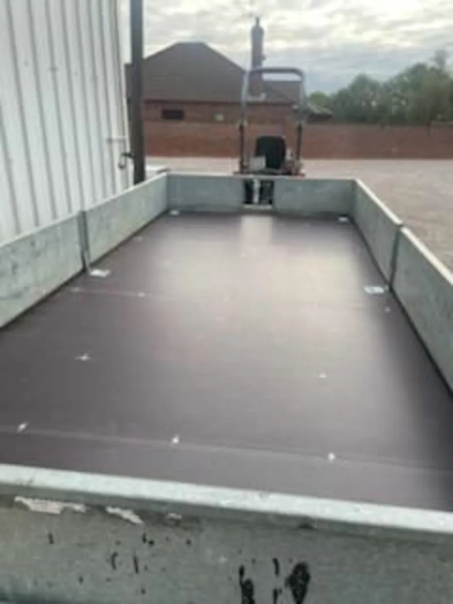 Iver Williams - Image 2