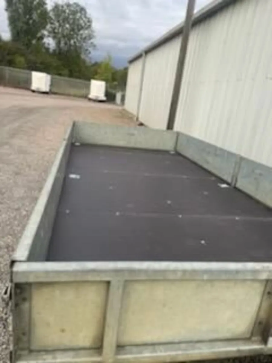 Iver Williams - Image 4