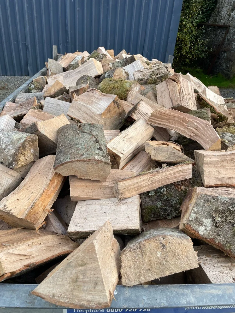 Firewood - Image 3