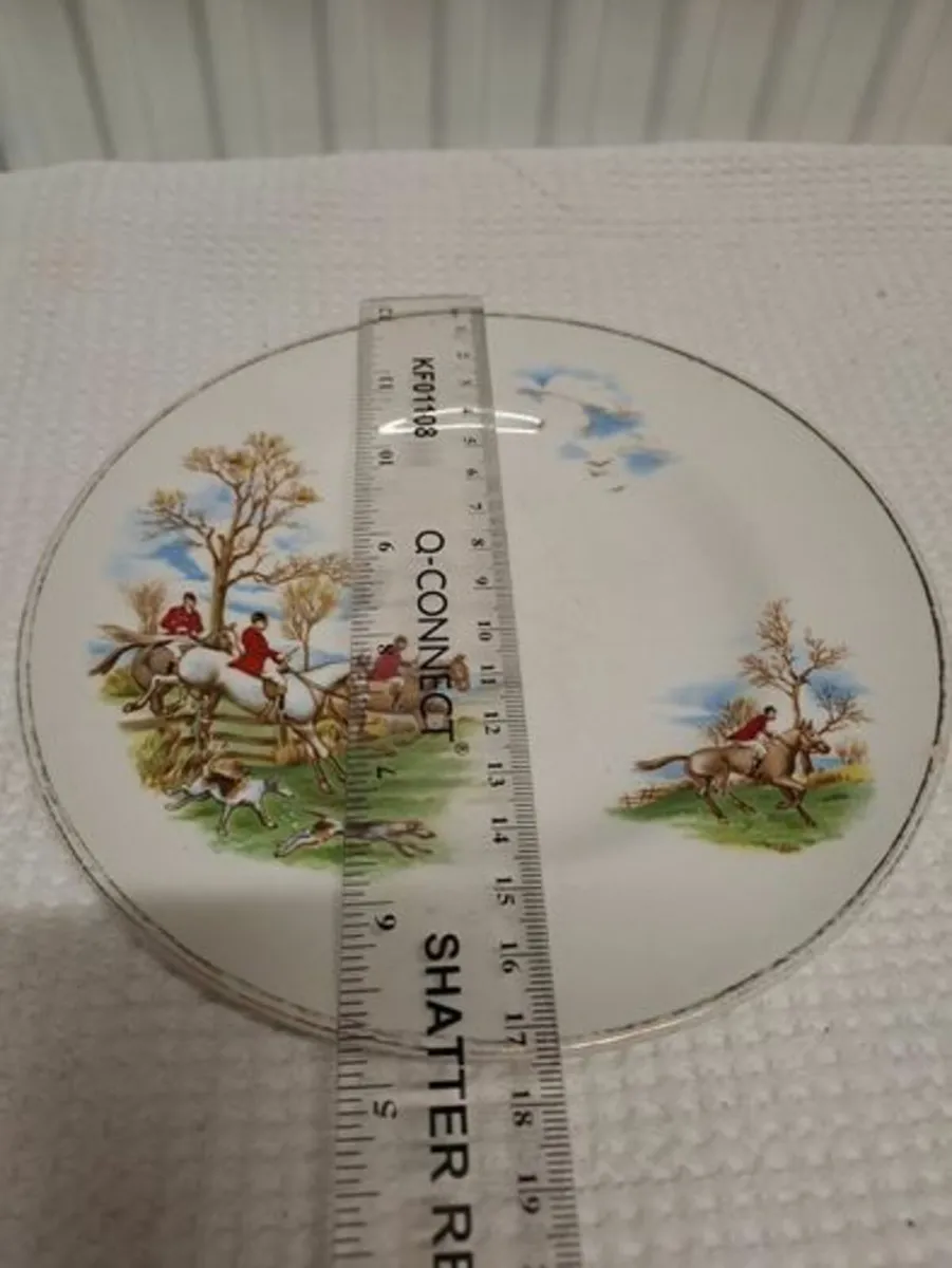 Arklow Tally Ho plate - Image 4