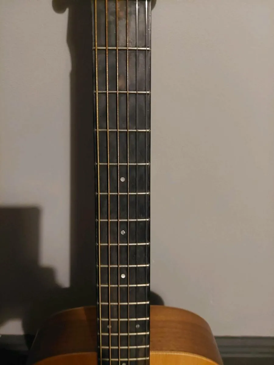 Baby Taylor bt1e - Image 4