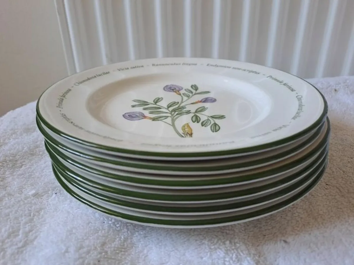 Johnson Bro's plates Wild Flowers - Image 1