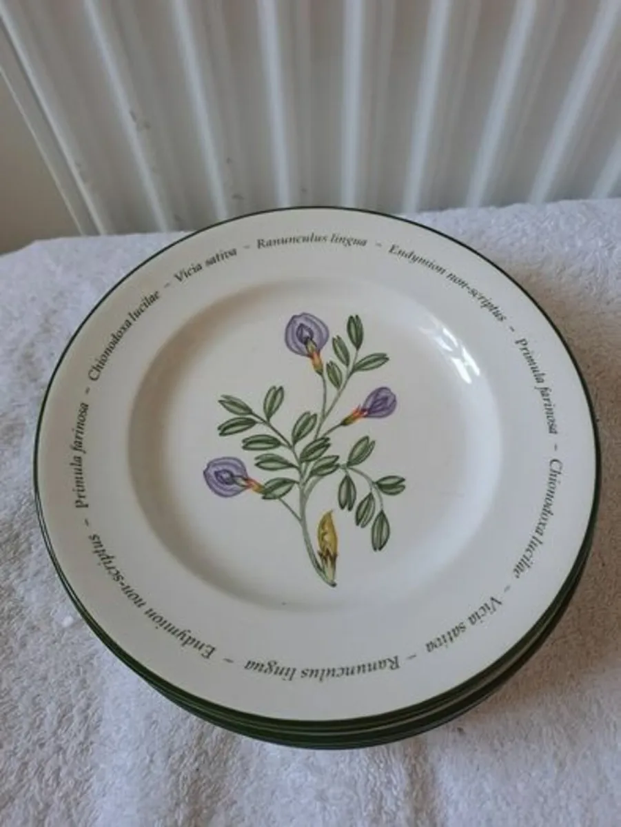 Johnson Bro's plates Wild Flowers - Image 2