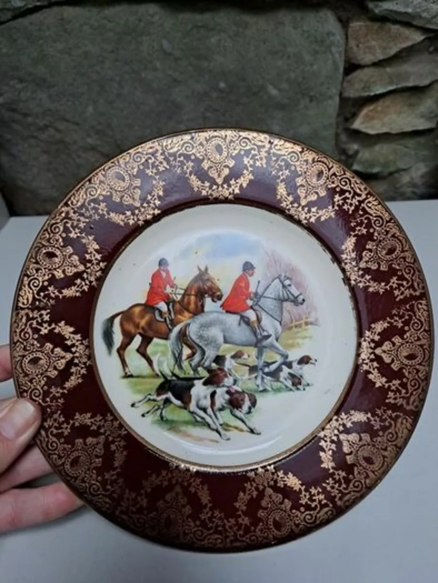 Display wallplate hunting - Image 1