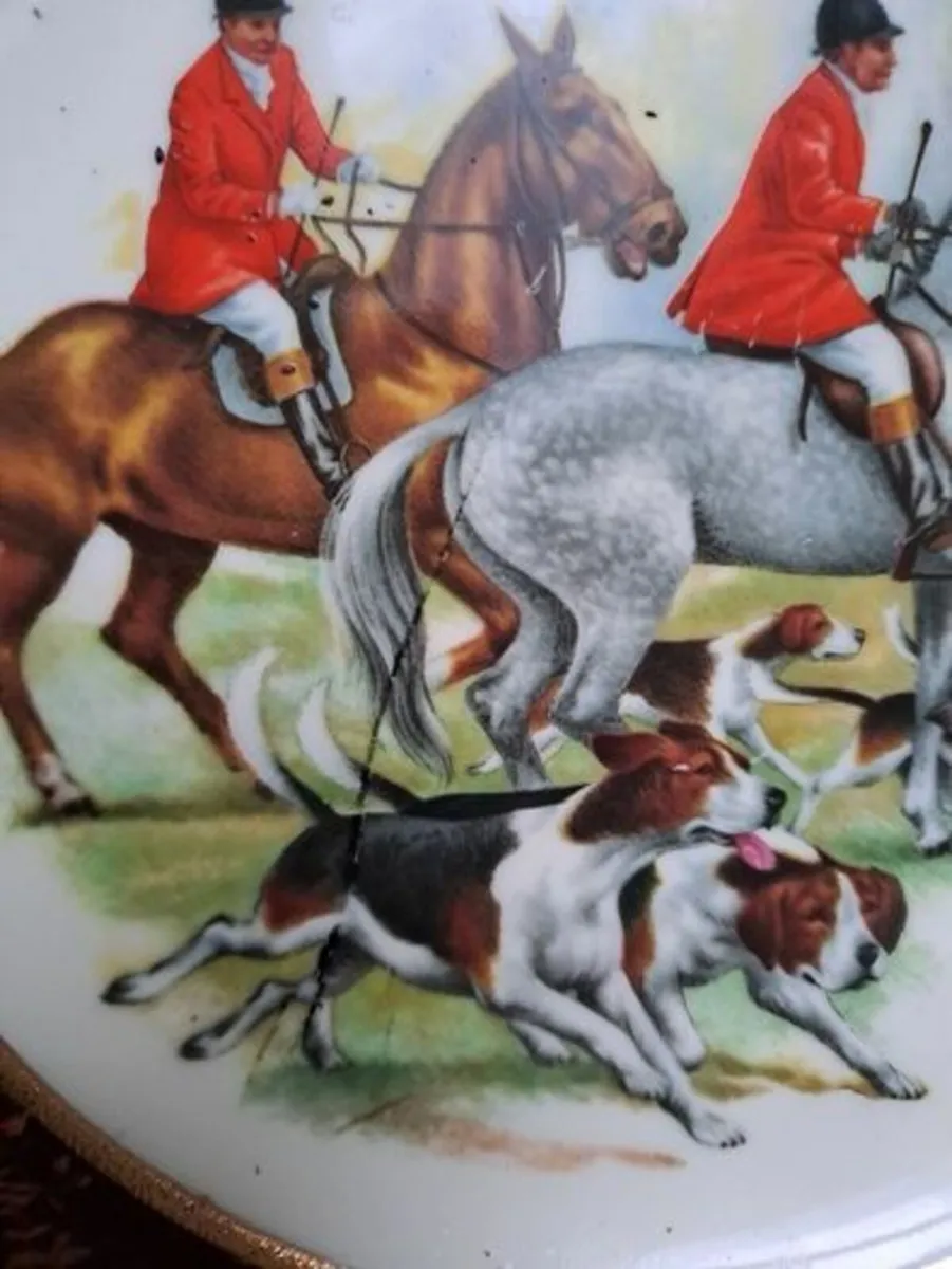 Display wallplate hunting - Image 4