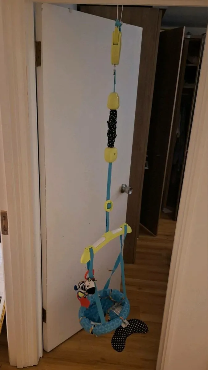 Baby swing/bouncer - Image 1