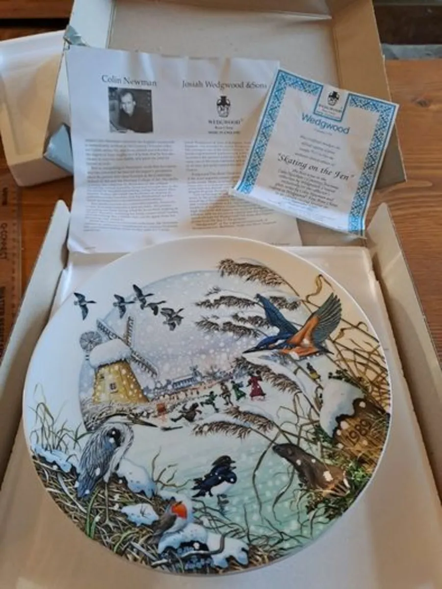 Skating on the Fen Plate wall plate - Image 1