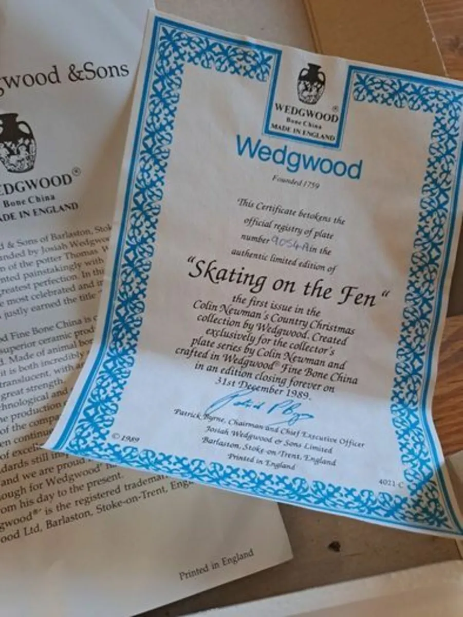 Skating on the Fen Plate wall plate - Image 4