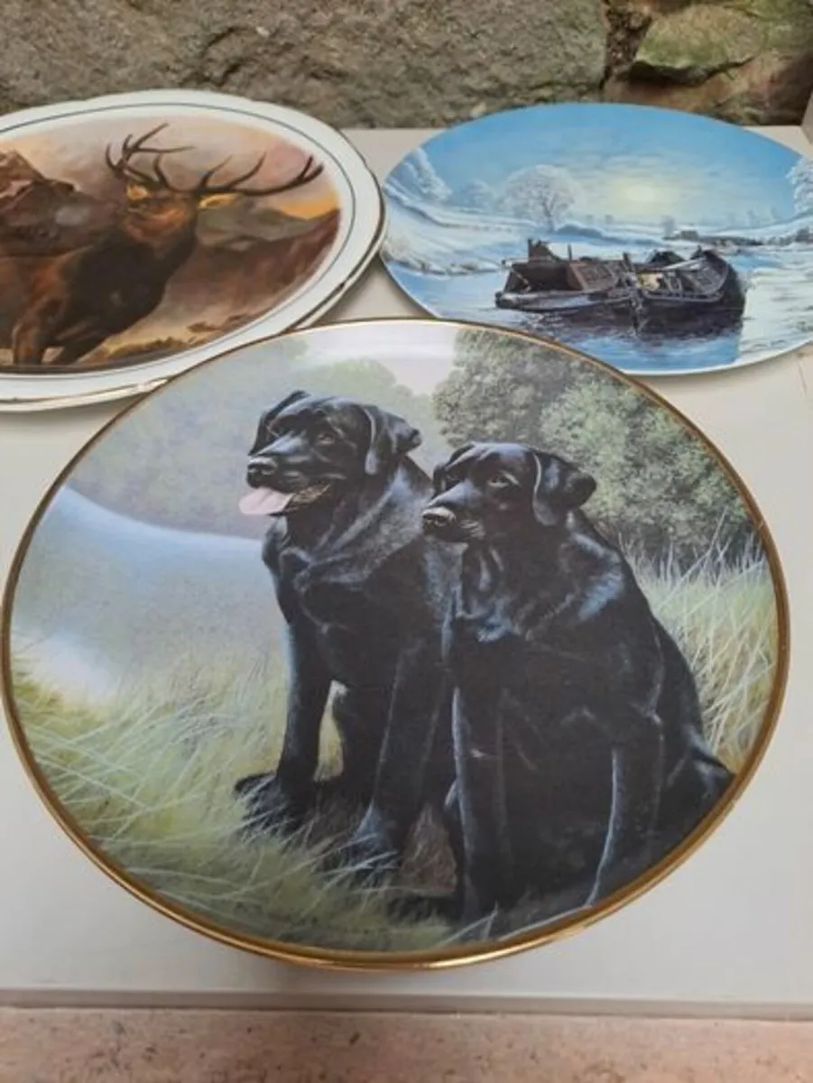 Nigel Hemming wall plate Sporting Companions - Image 1