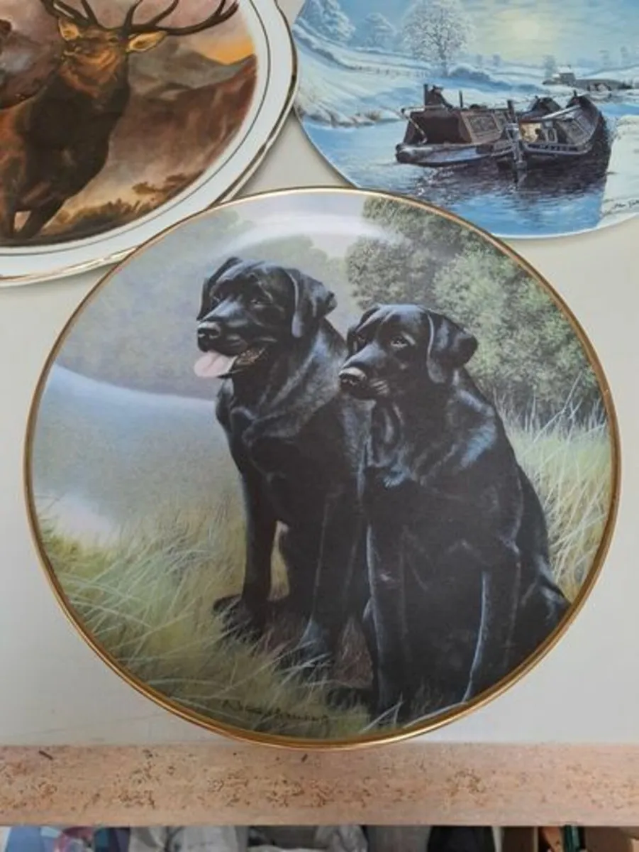 Nigel Hemming wall plate Sporting Companions - Image 4