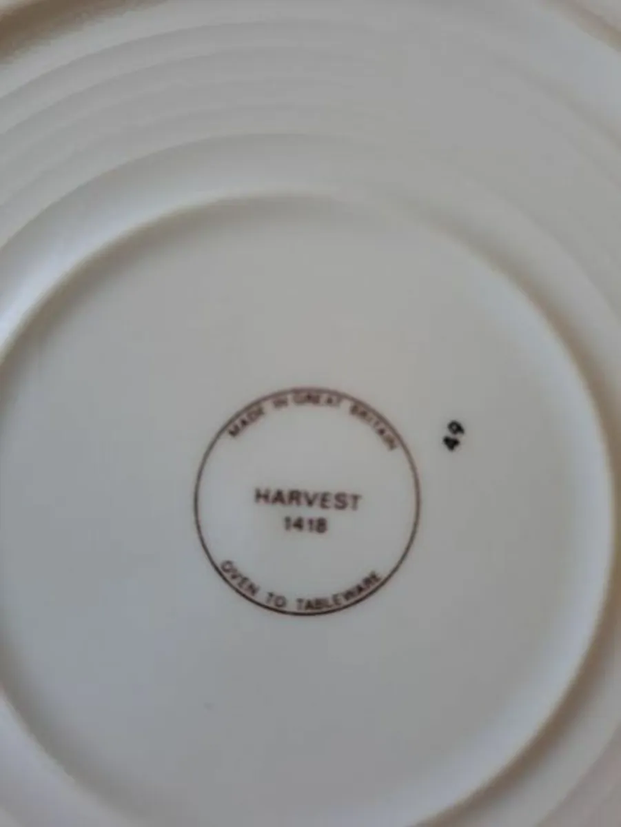 Vintage Harvest plates - Image 4