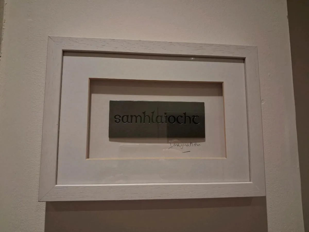 Wild Goose Frame - 'Imagination' - Image 1