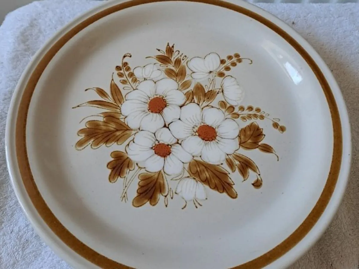 Vintage Mountain Wood plates - Image 2