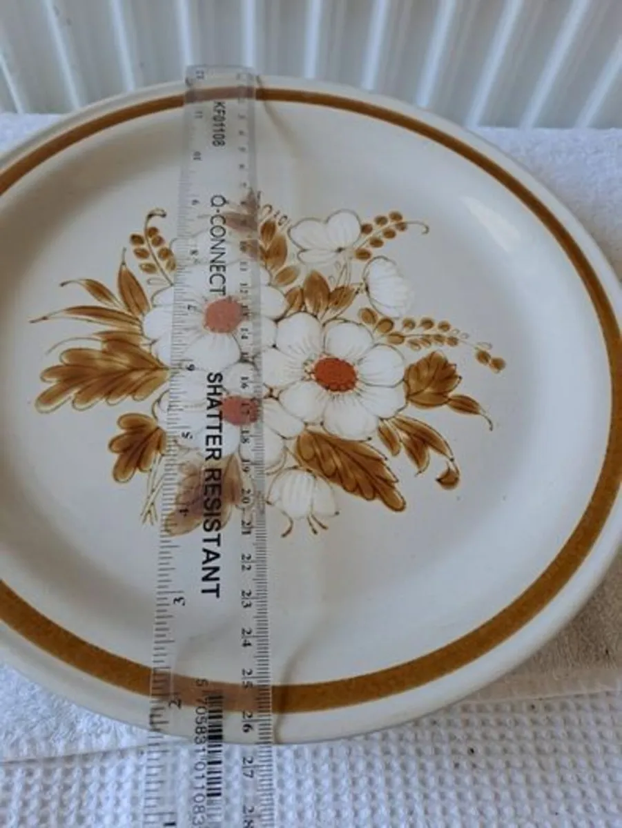 Vintage Mountain Wood plates - Image 3