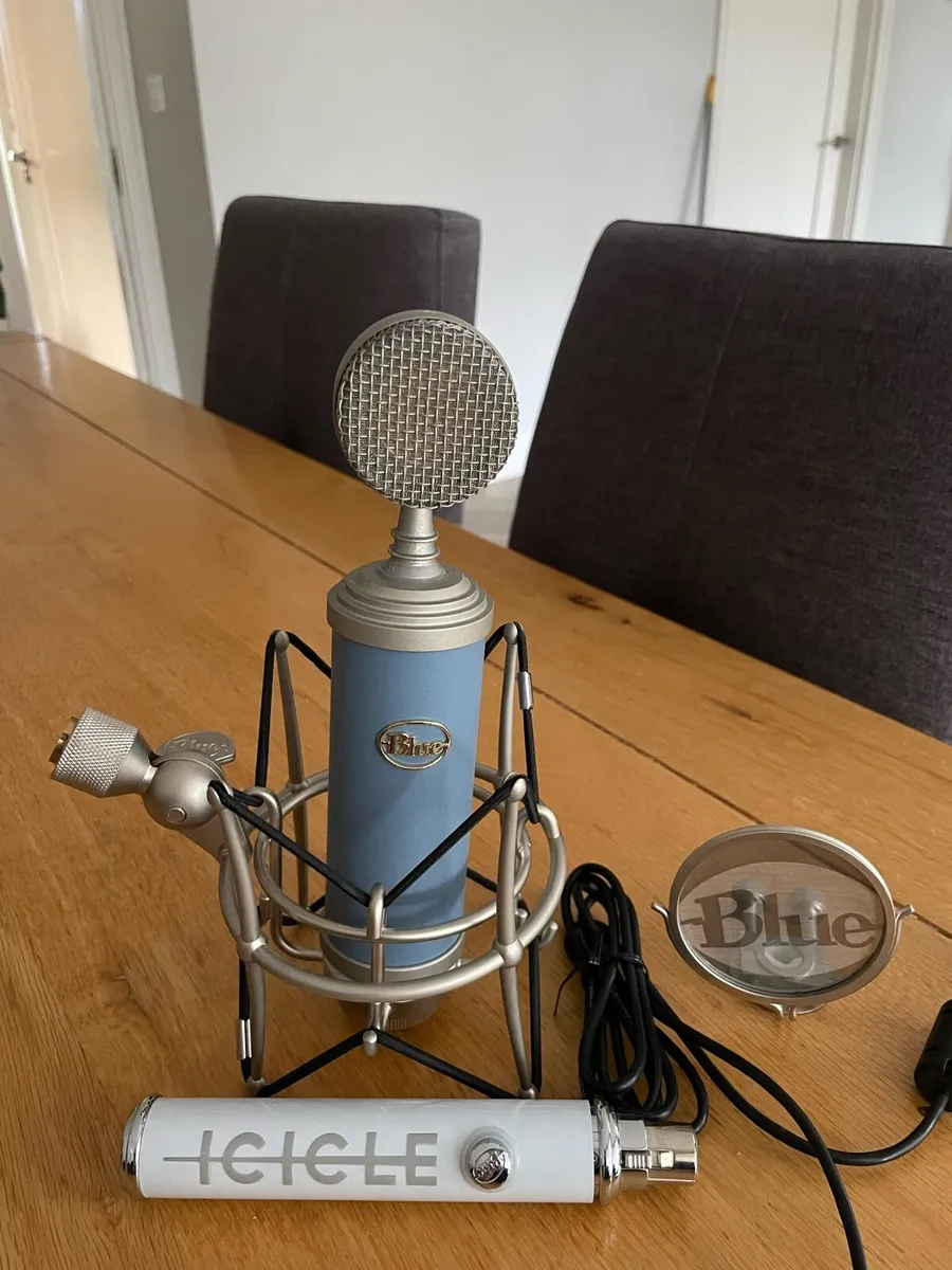 Microphone - Image 2