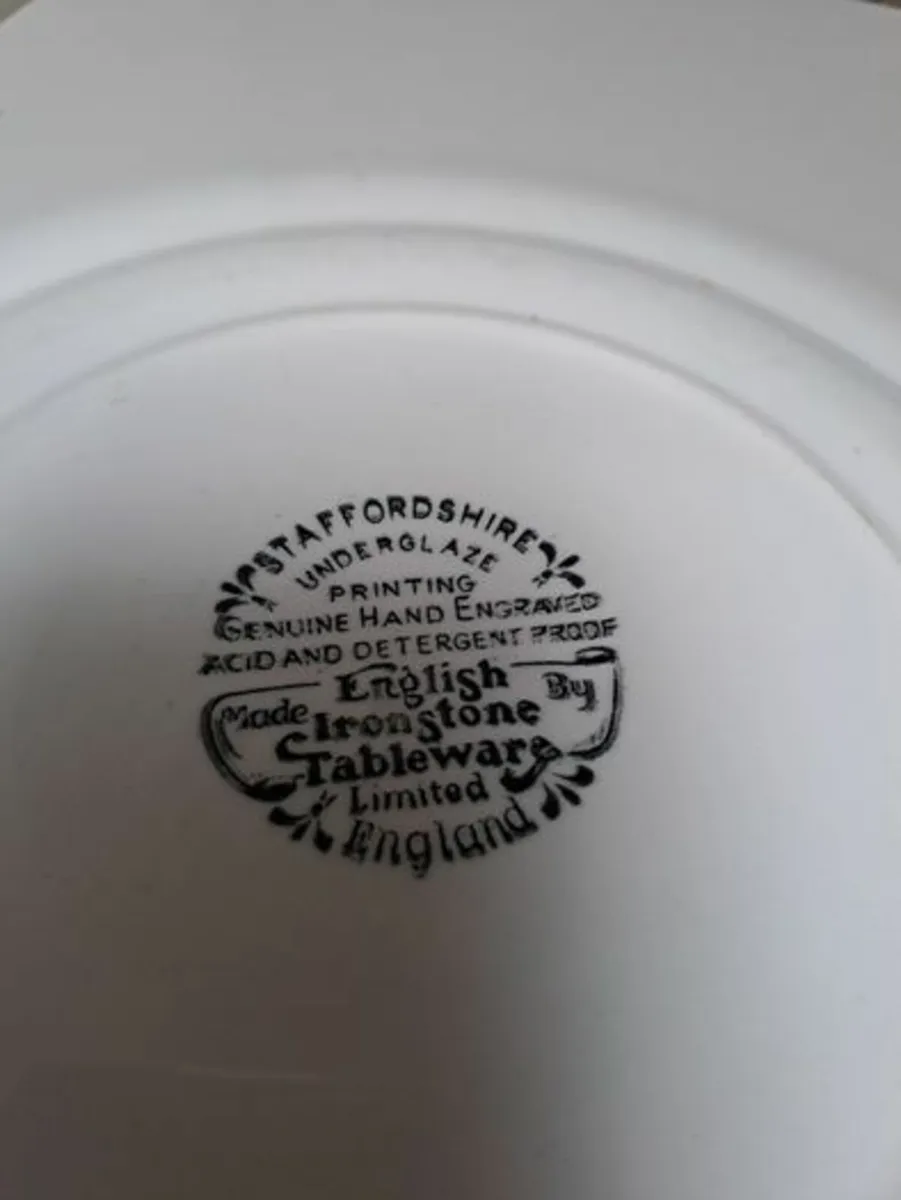 Vintage Staffordshire plate - Image 2