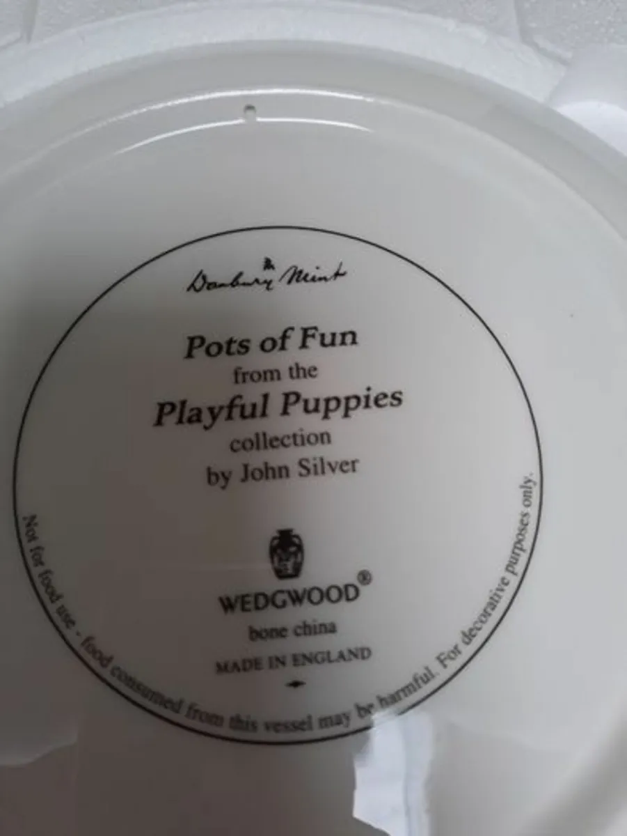 Wall plate Pots of Fun John Silver - Image 3