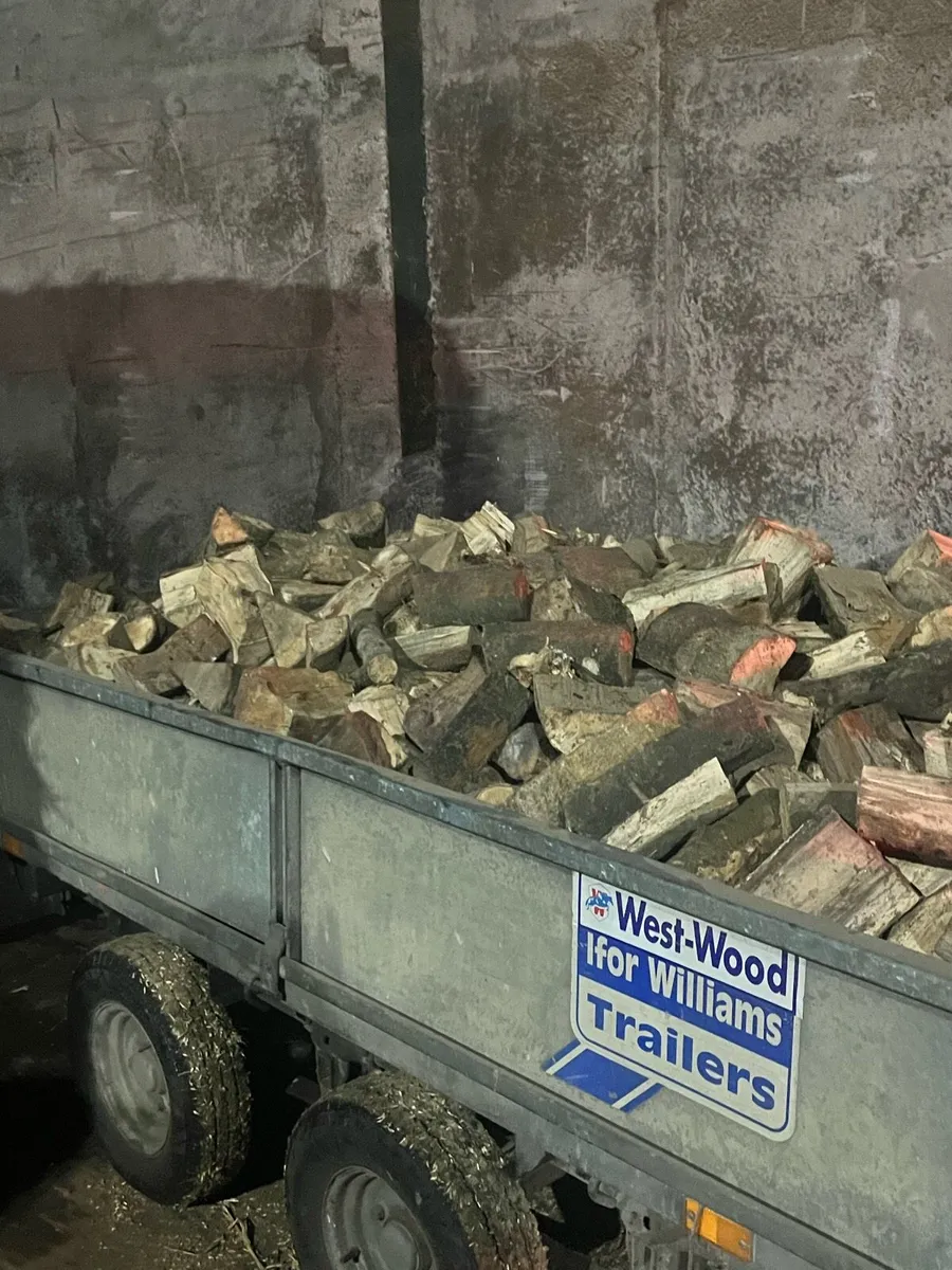 Firewood - Image 3