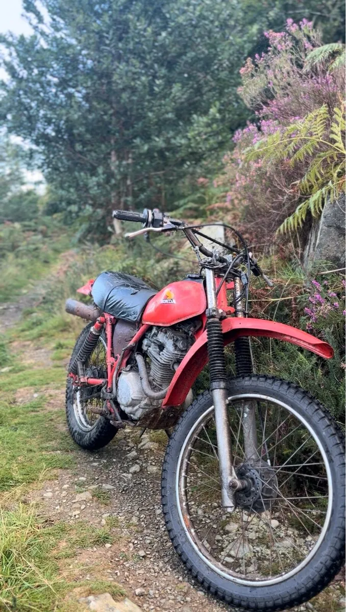 1980 honda Xr - Image 1