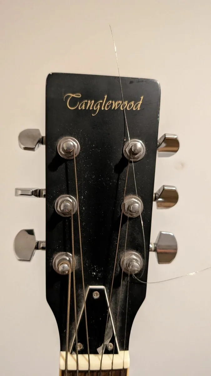 Tanglewood Resonator Guitar - Image 1