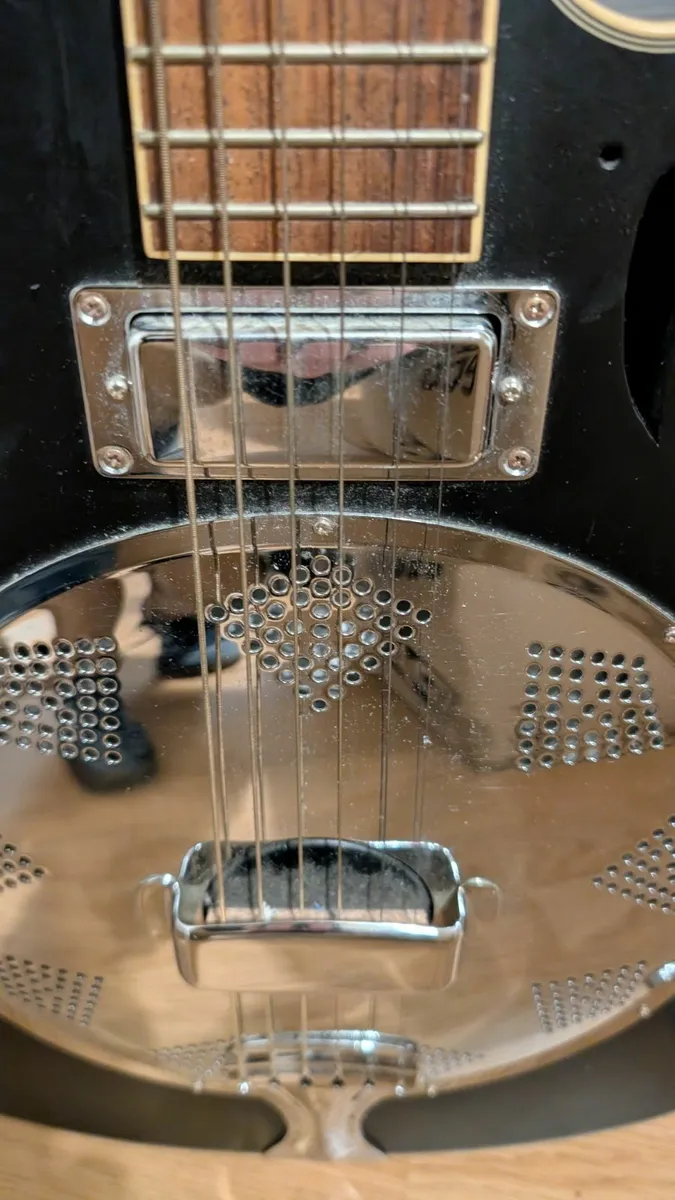 Tanglewood Resonator Guitar - Image 3