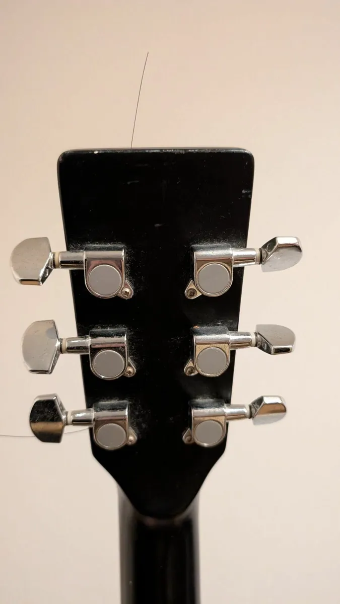 Tanglewood Resonator Guitar - Image 4