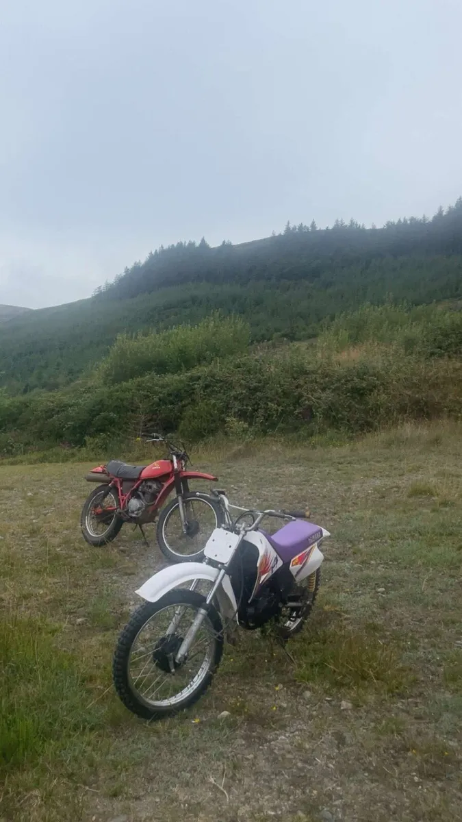 1995 yamaha rt100 - Image 2