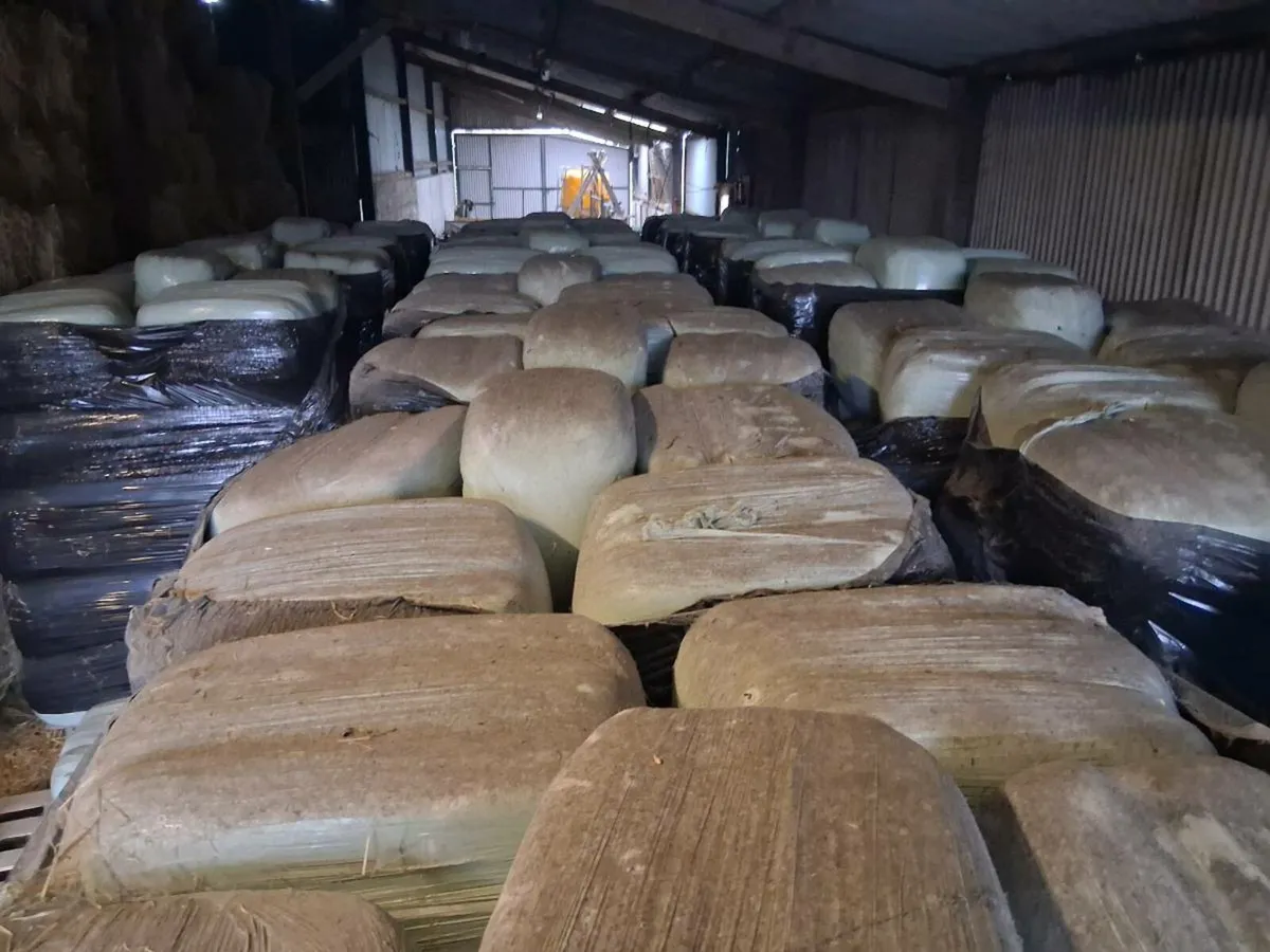 Square bales of Haylage - Image 1