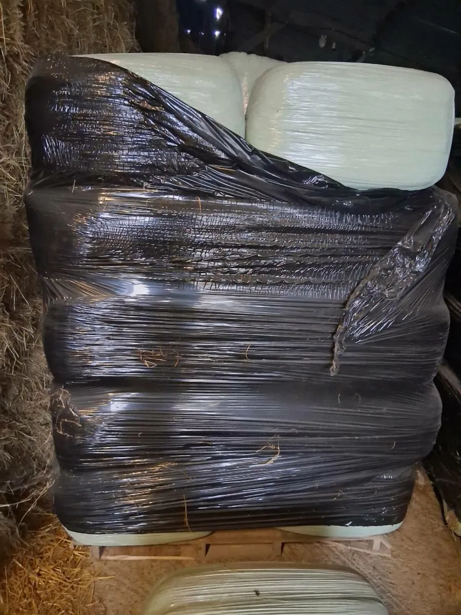 Square bales of Haylage - Image 3