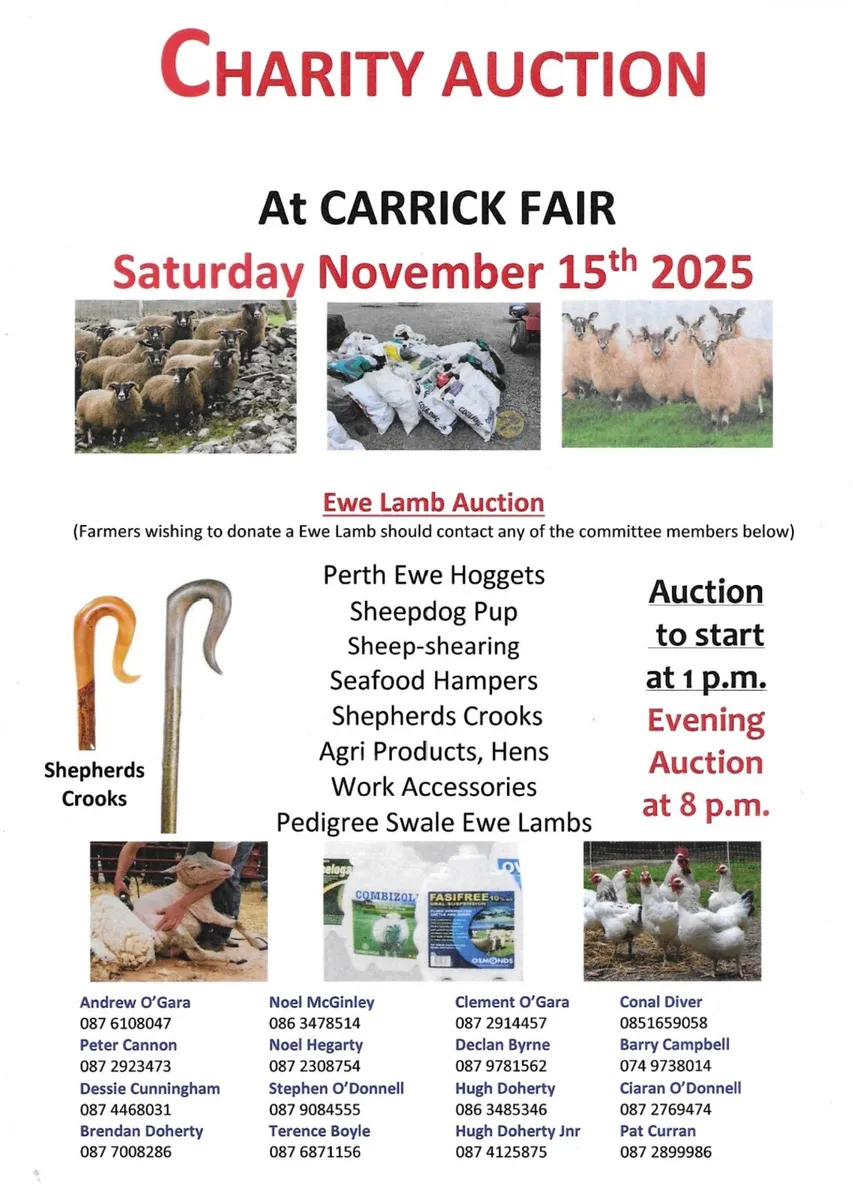 Carrick Charity Auction - Image 1
