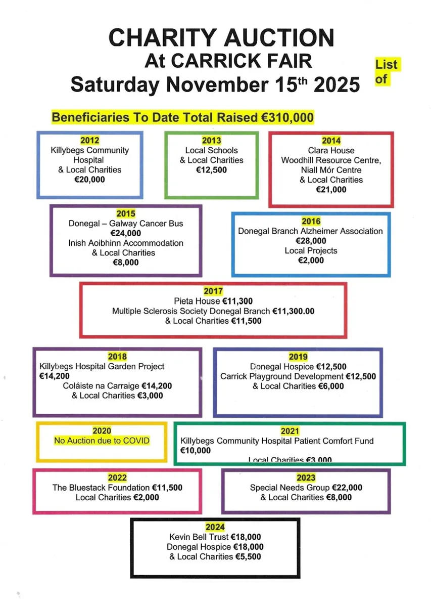 Carrick Charity Auction - Image 2