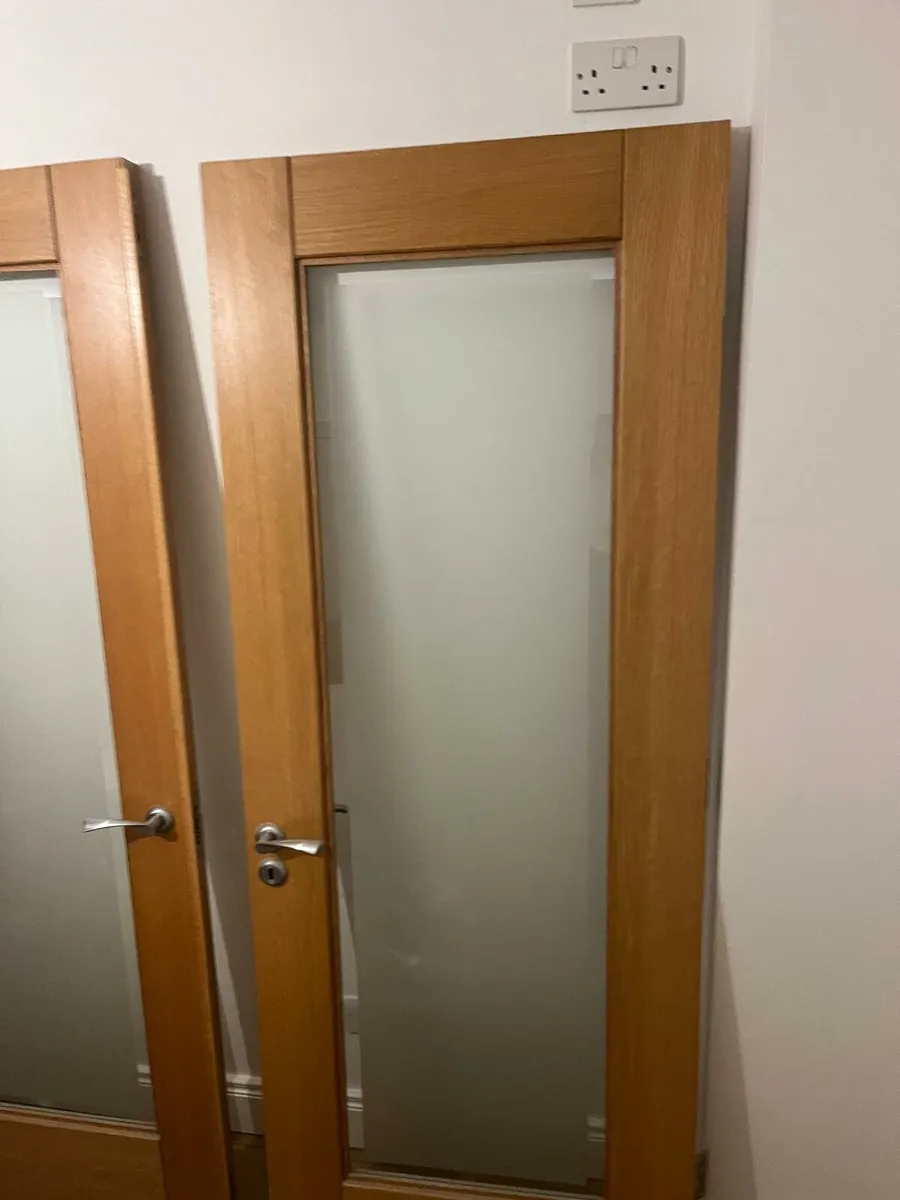 Internal Double doors - Image 3