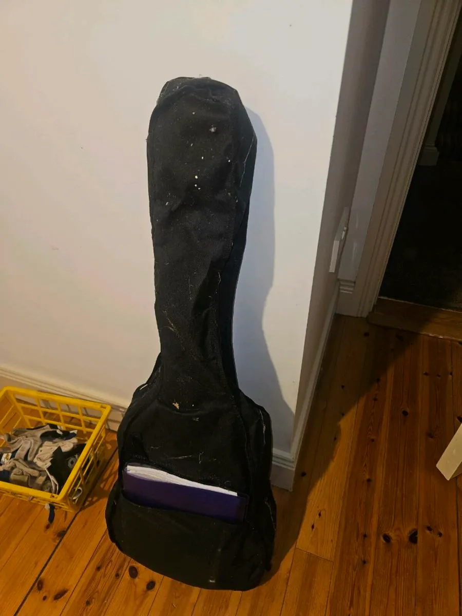 Guitar  koda - Image 3