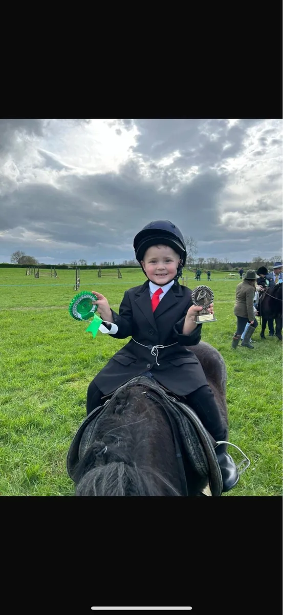 Bomb proof pony - Image 1