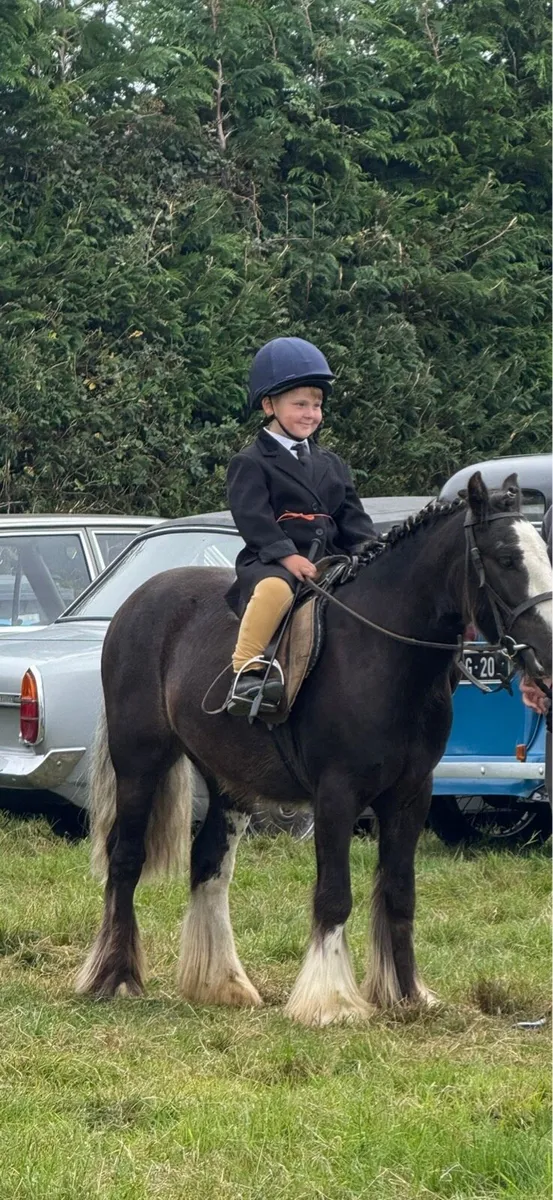 Bomb proof pony - Image 2